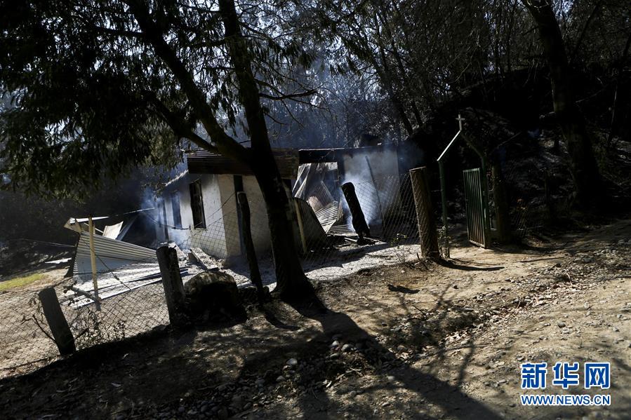 智利森林大火已造成11人死亡