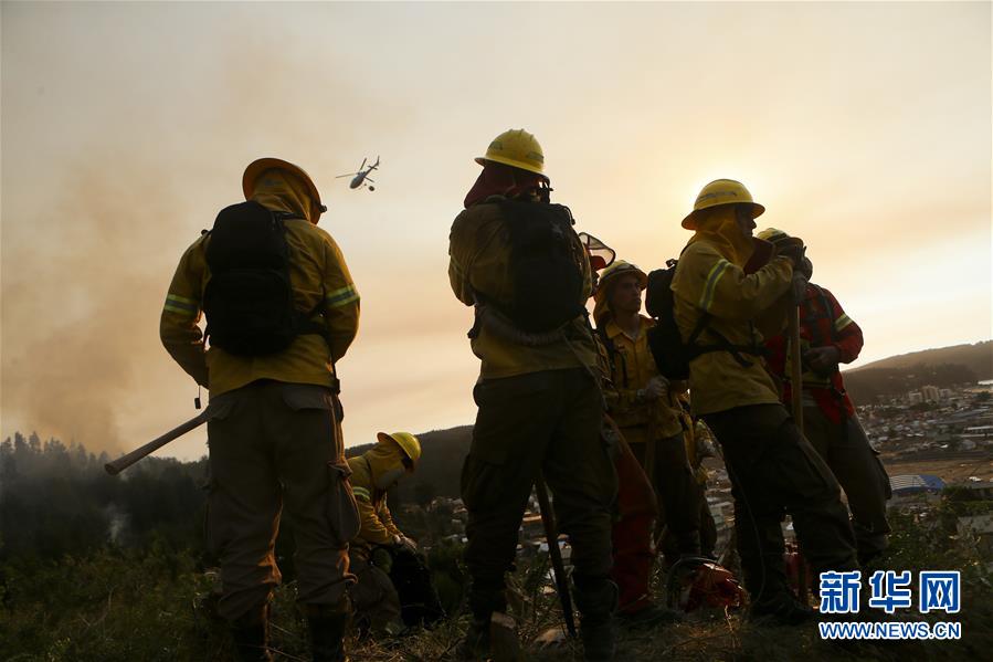 智利森林大火已造成11人死亡