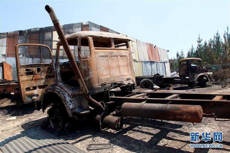 智利森林大火已造成11人死亡