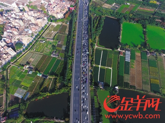 2月2日，春节假期最后一天，广佛高速往广州方向车流量大，交通缓慢
