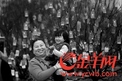 广州市民在欢乐祥和的气氛中过大年