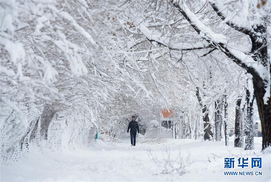 阿富汗遭遇大雪极寒天气