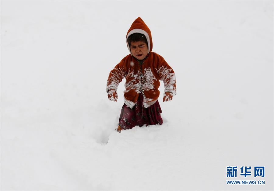 阿富汗遭遇大雪极寒天气