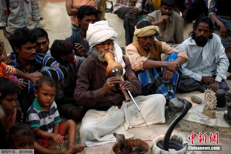 历史悠久的印度耍蛇者