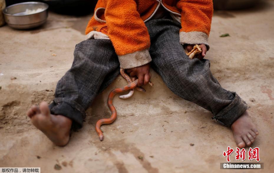 历史悠久的印度耍蛇者