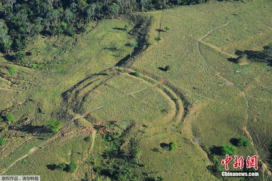 巴西雨林现巨型图案 逾2000年历史