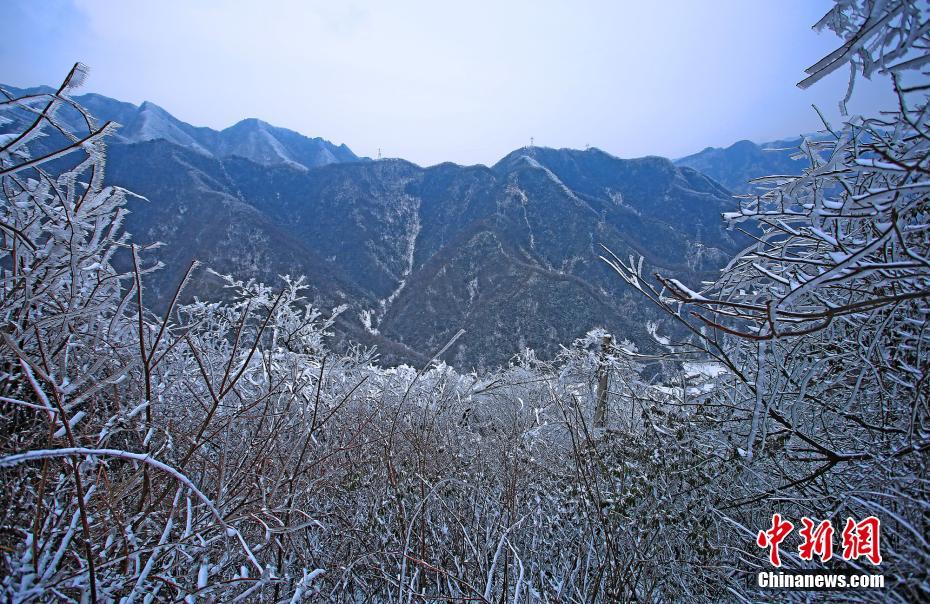 雨雪大风“联手” 湖北长阳现奇特冰挂