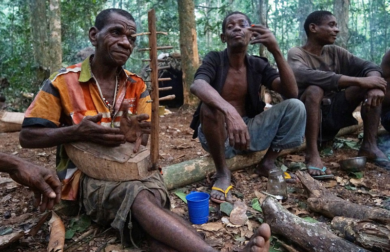 非洲侏儒部落土著寿命短 平均身高1米3