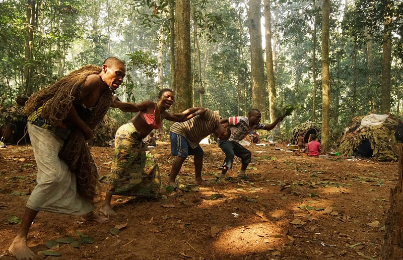 非洲侏儒部落土著寿命短 平均身高1米3