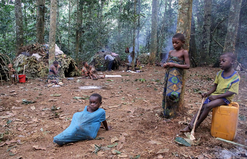 非洲侏儒部落土著寿命短 平均身高1米3