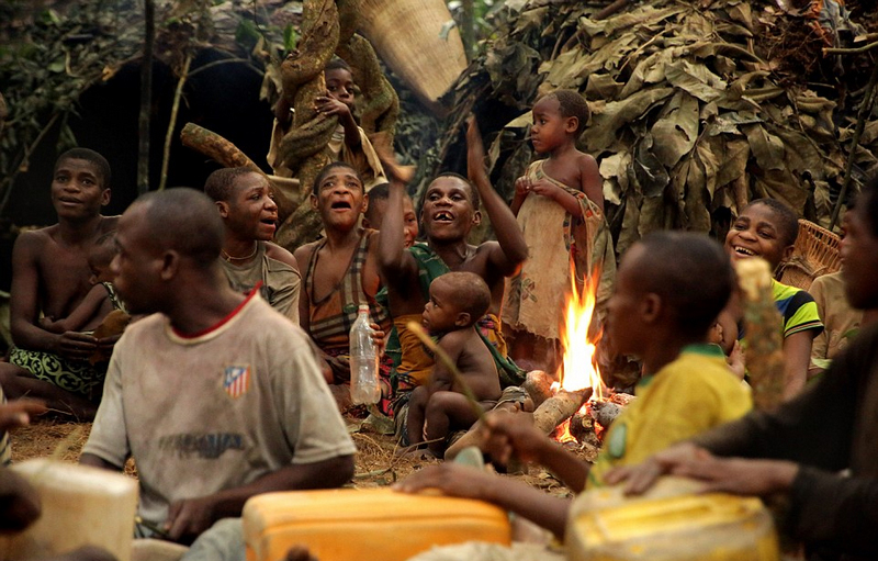 非洲侏儒部落土著寿命短 平均身高1米3