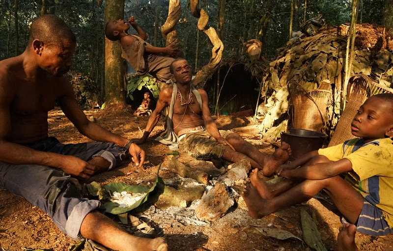 非洲侏儒部落土著寿命短 平均身高1米3