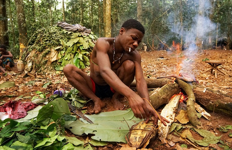 非洲侏儒部落土著寿命短 平均身高1米3