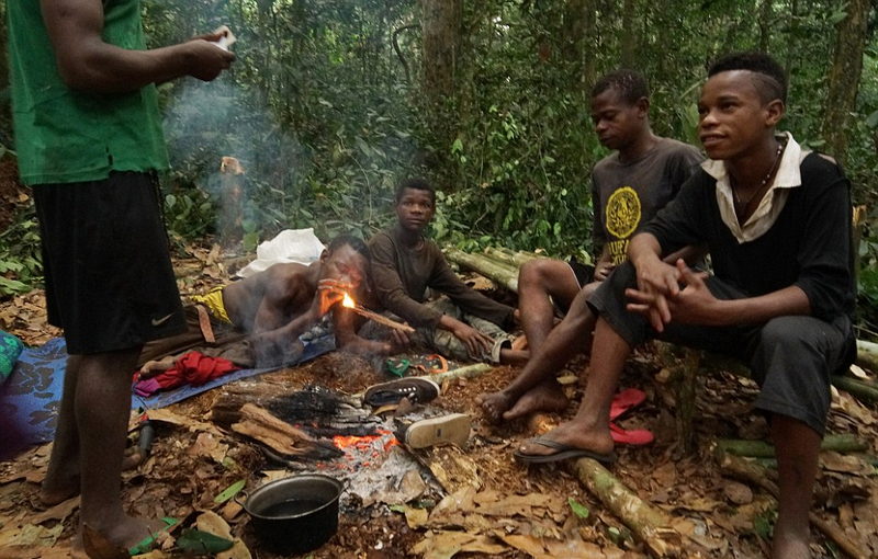 非洲侏儒部落土著寿命短 平均身高1米3