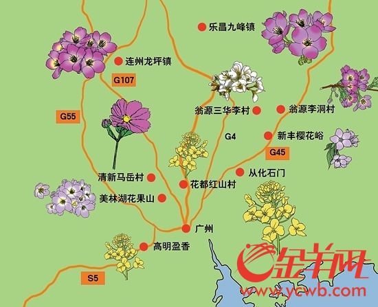 广东省内春季赏花地图绘图/ 冯伟明