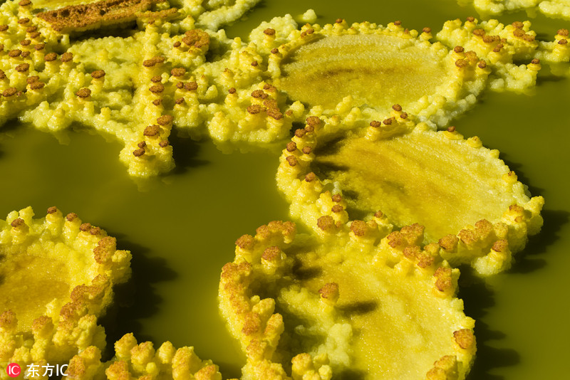 埃塞俄比亚火山炫彩绮丽似外星球