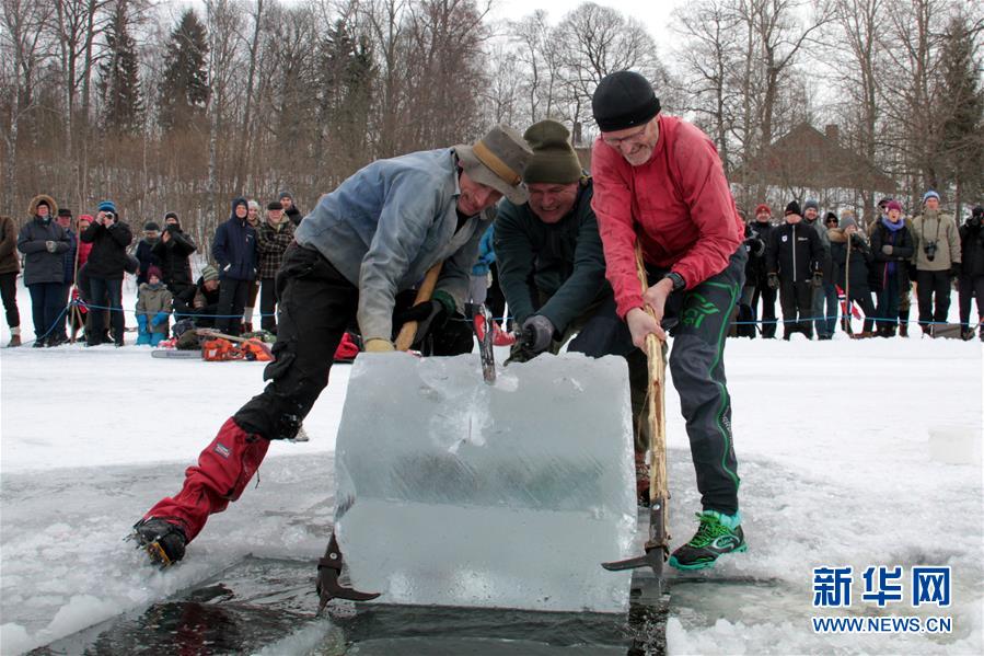 挪威举行传统采冰比赛