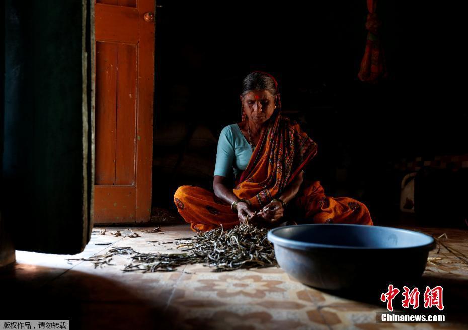 印度有家“奶奶学校”