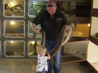 澳洲一对夫妻教2岁萌娃捕蛇引热议