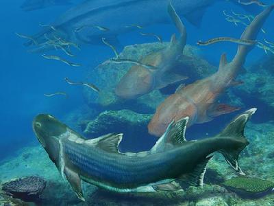科学家发现4.2亿年前新种鱼化石