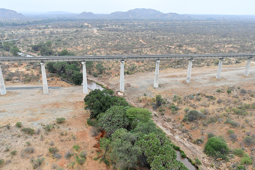 不让长颈鹿低头过 中国援建肯尼亚蒙内铁路打造绿色通道