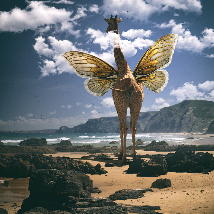 颠覆传统思想 人类灭绝后动物占领地球