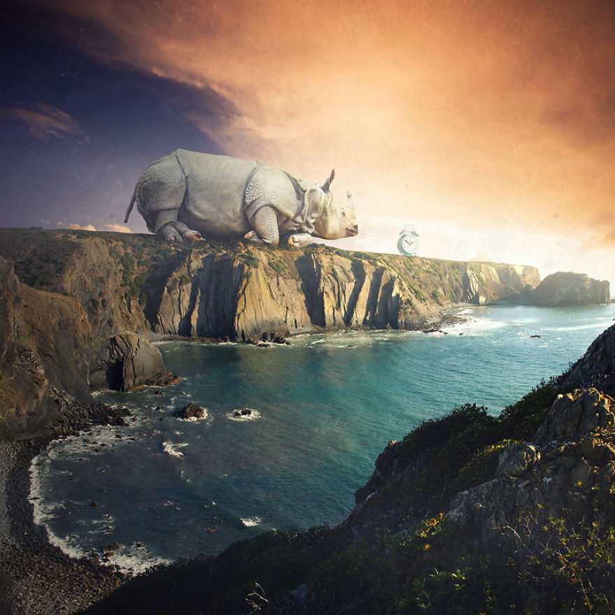 颠覆传统思想 人类灭绝后动物占领地球