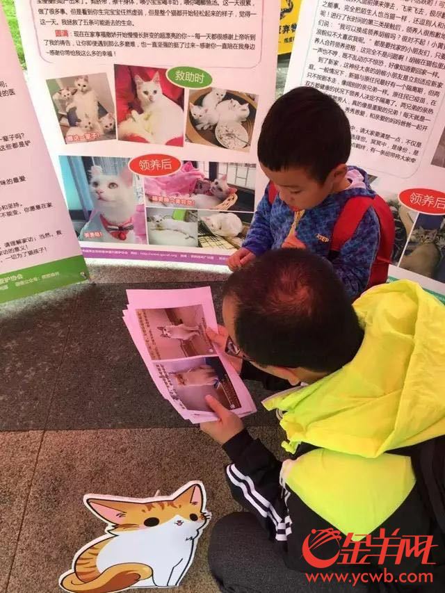 流浪猫绝育计划将在海珠8个社区公园展开 流浪猫绝育计划将在海珠8个社区公园展开