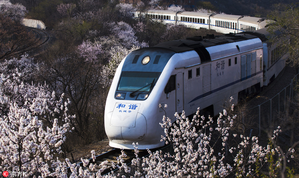 北京居庸关那趟“开往春天的列车”来了