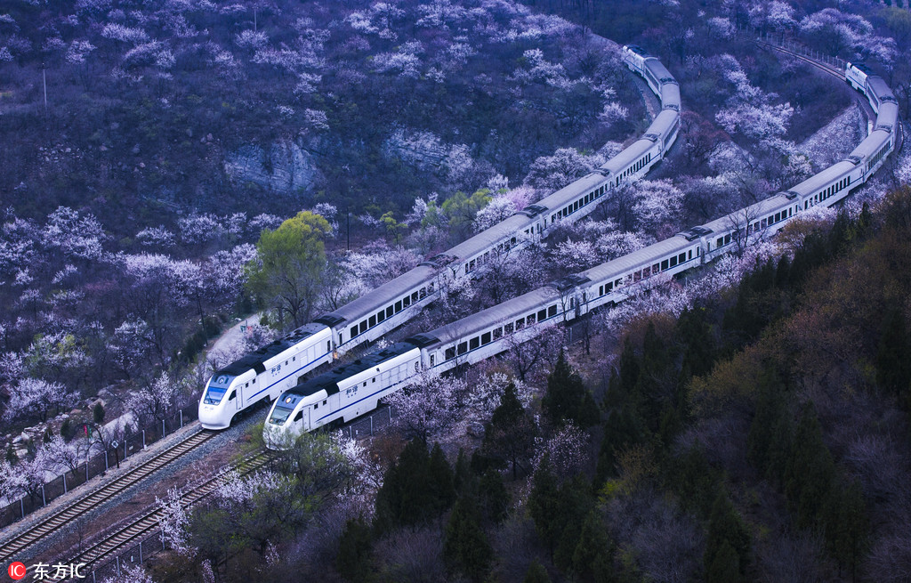 北京居庸关那趟“开往春天的列车”来了