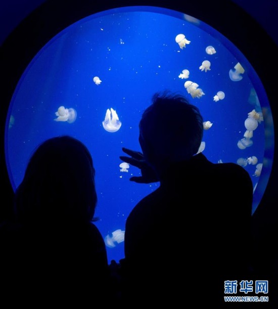 4月6日，两名游客在西班牙巴伦西亚海洋馆观看水母。 新华社/欧新