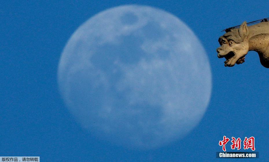 世界各地现满月美景 皓月当空飞机略过美如画
