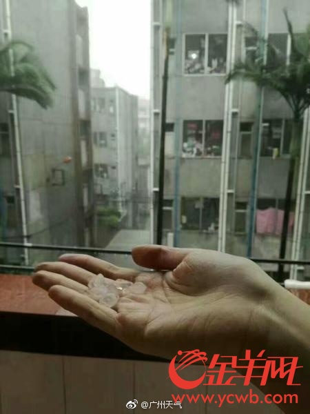 暴雨倾盆白昼如夜 你可被刚刚的广州冰雹砸到了头? 暴雨倾盆白昼如夜 你可被刚刚的广州冰雹砸到了头?