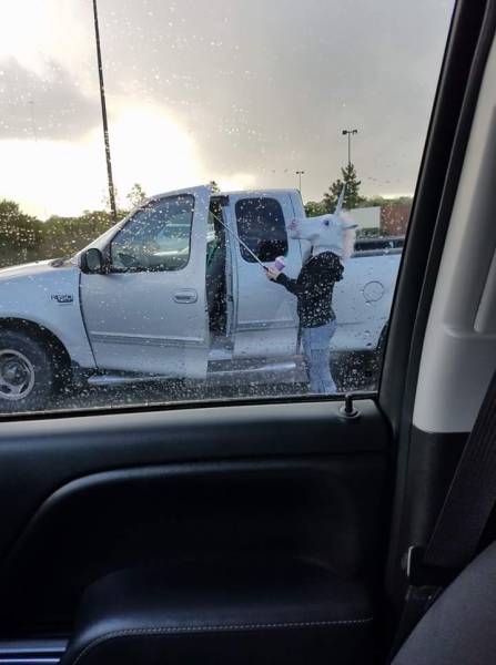 總有奇葩在你身邊