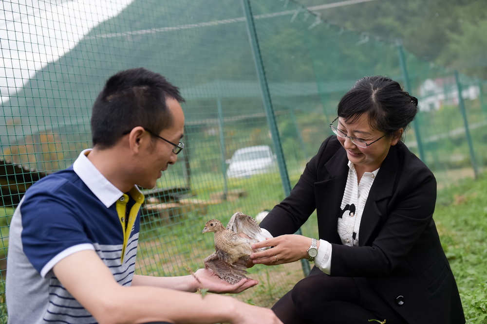 安徽潜山县巍岭乡杨河村第一书记、驻村扶贫工作队长刘和平（右）在杨河村走访帮扶单位针对贫困户开办的养鸡场（5月11日摄）。
