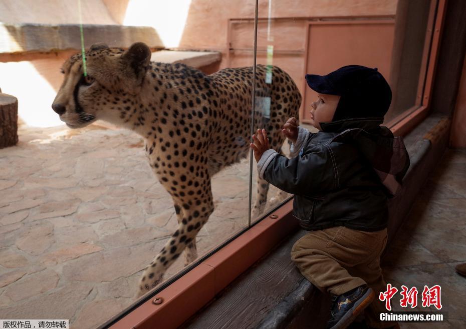 儿童节特刊：童真的模样