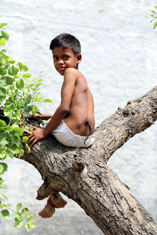 印度男童长“尾巴” 被当猴神受朝拜