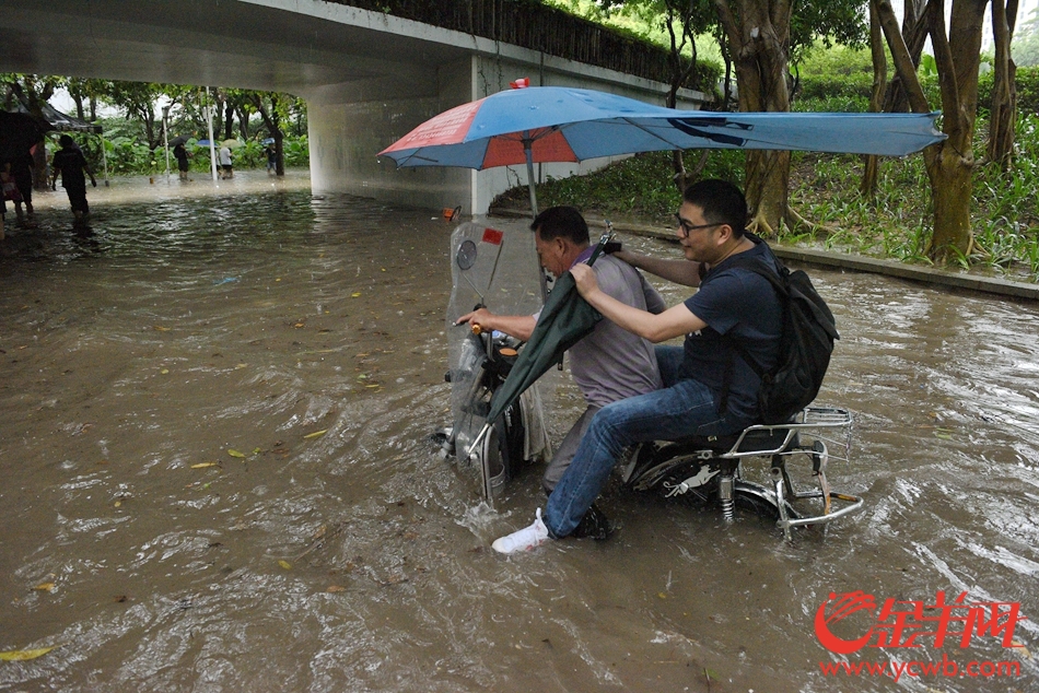 受台风"苗柏"影响深圳多处水浸