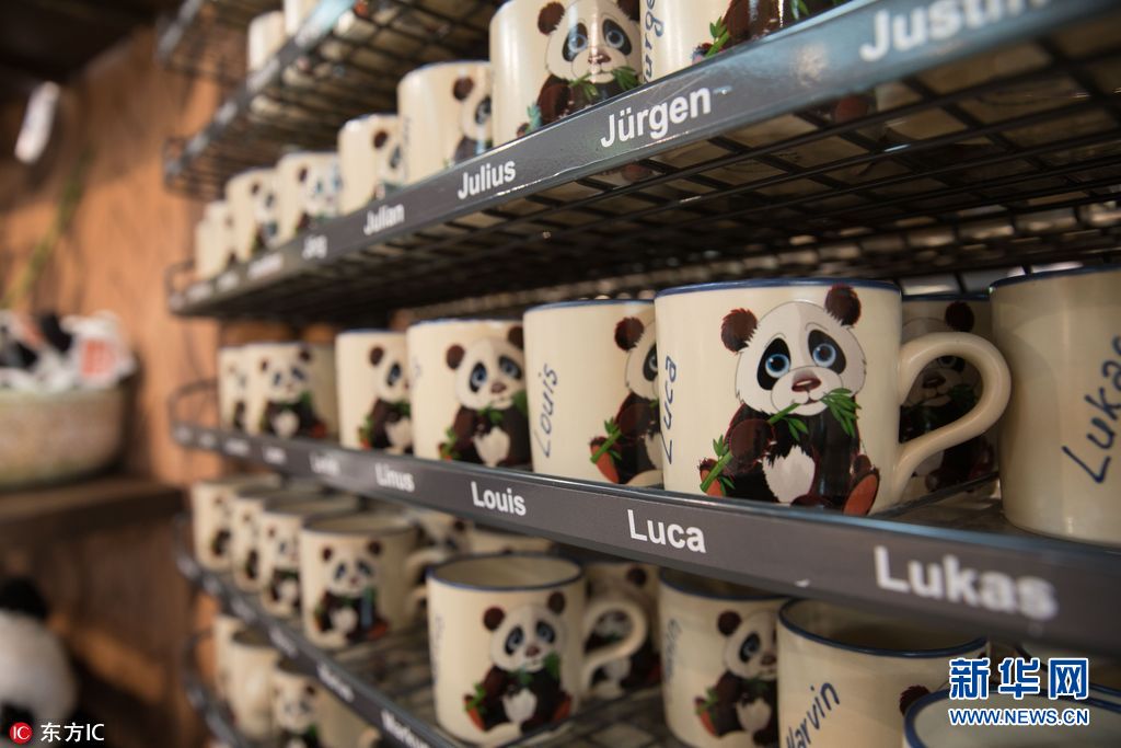 中国旅德大熊猫将首次与公众见面 带火周边产品（组图）