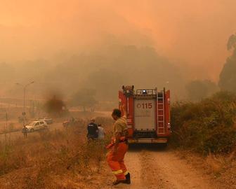 意大利多地现丛林火灾 消防员上千次投入灭火