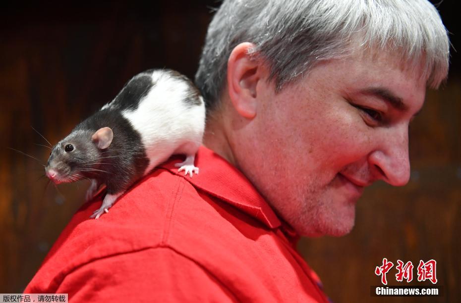 “不正经”的咖啡厅