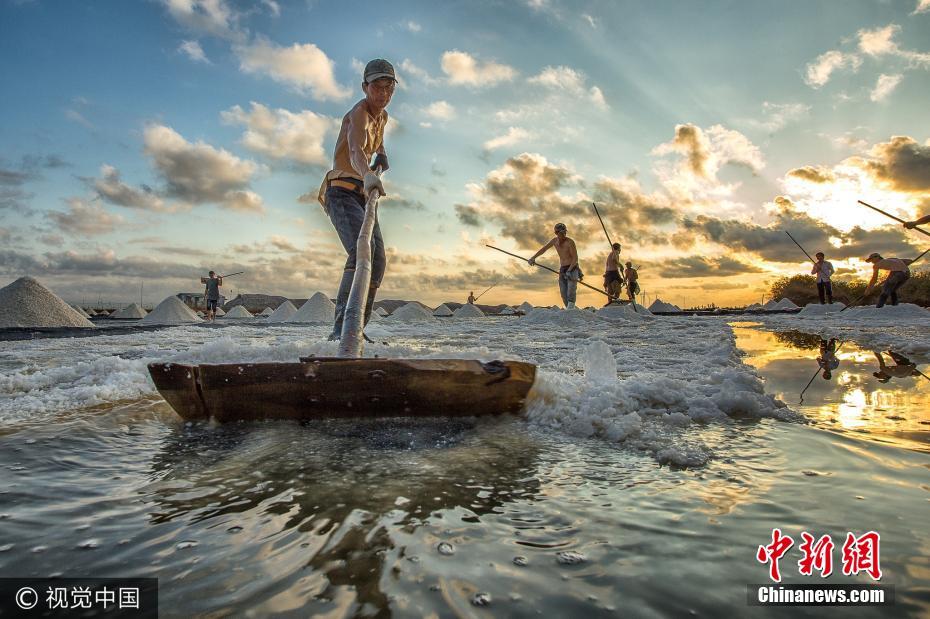 镜头下的越南百里“银滩” 烈日晒盐画面唯美