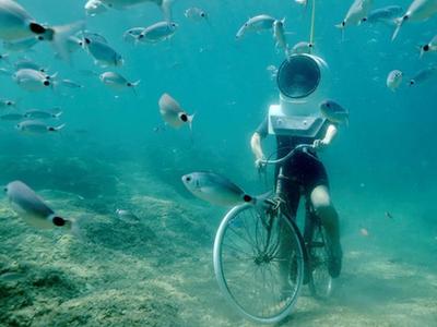 实拍克罗地亚水下公园 潜水员在游弋鱼群中“骑单车”