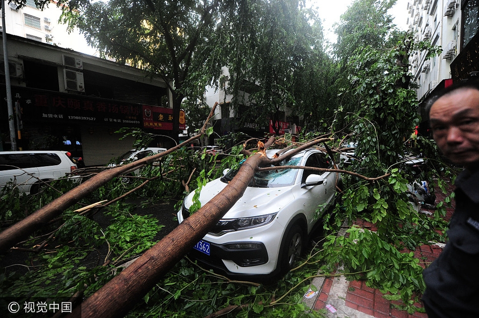 台风 杜苏芮 过境三亚 强降雨道路被淹车辆受损