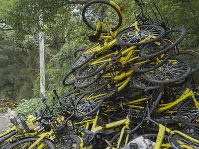 共享单车被弃山林 绵延堆积300米