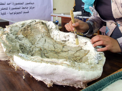 埃及出土8千万年前恐龙化石
