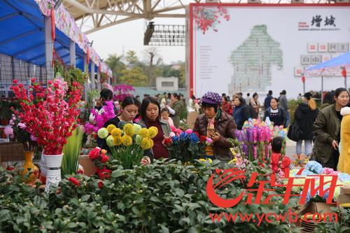 年味飘荔乡 增城人忙逛迎春花市