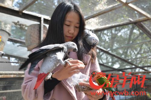 春节期间，来白云山赏花看鹦鹉