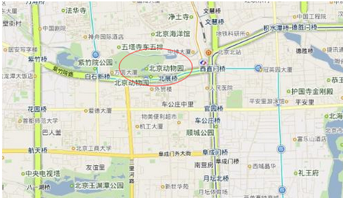  北京动物园 或将局部 搬迁  身处闹市易拥堵_金羊