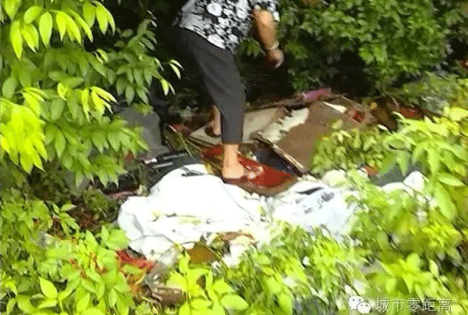 中山女婴台风天被弃桥底 后背很多蚂蚁